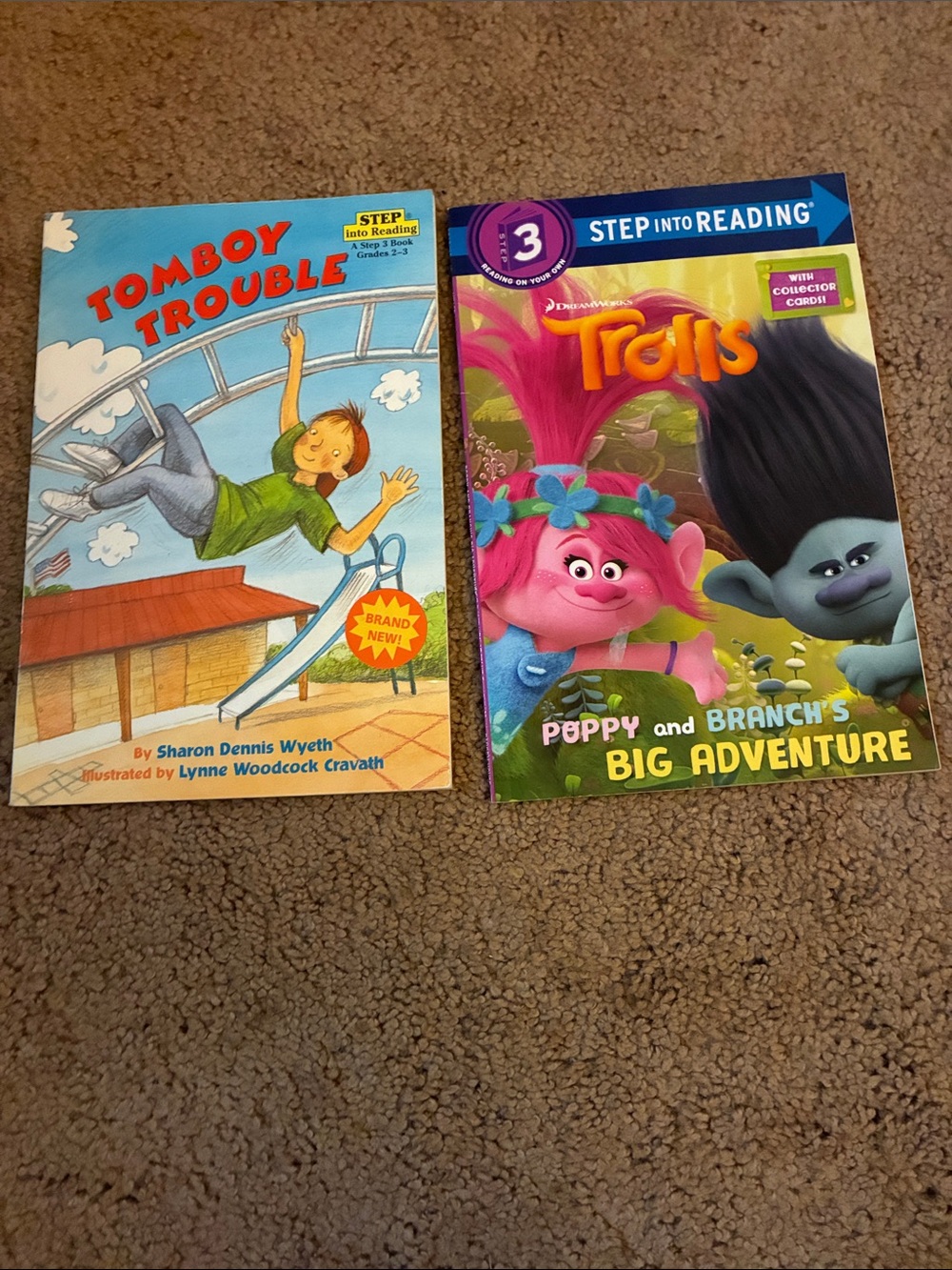 Trolls Poppy Cover Storybook - Pink and Blue Characters